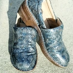 BOC Blue Clogs